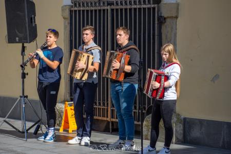 Trgatev stare trte 1